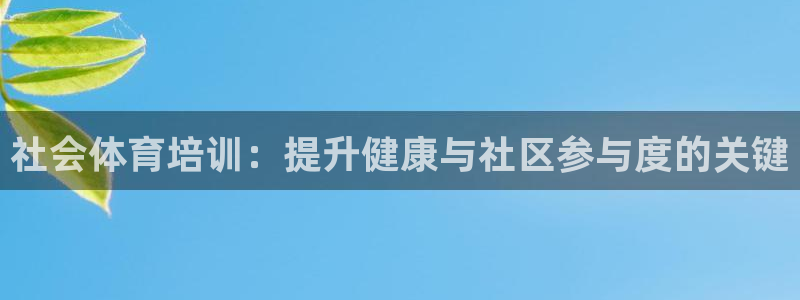 欧陆娱乐总代：社会体育培训：提升健康与社区参与度的关