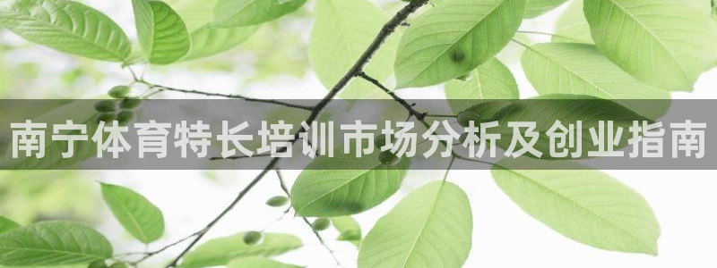 欧陆娱乐不让提现吗：南宁体育特长培训市场分析及创业指