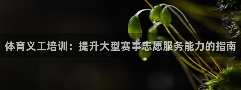 欧陆娱乐百科官网：体育义工培训：提升大型赛事志愿服务